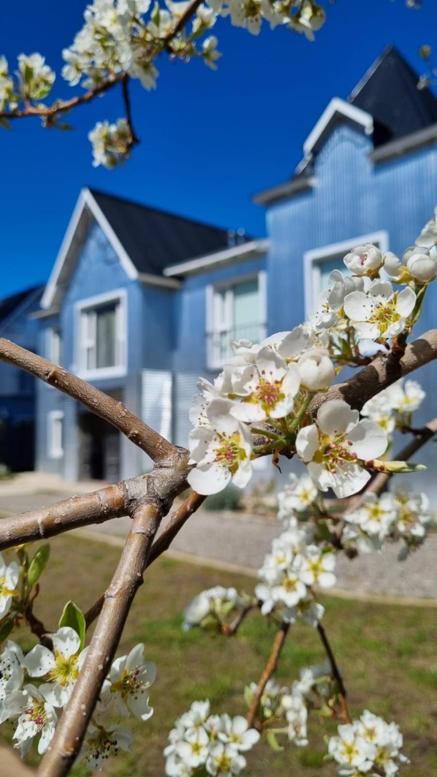 Hol Gok Patagonia Apartman Esquel Kültér fotó